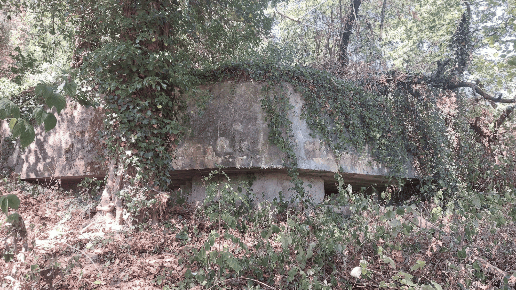 Façade du blockhaus