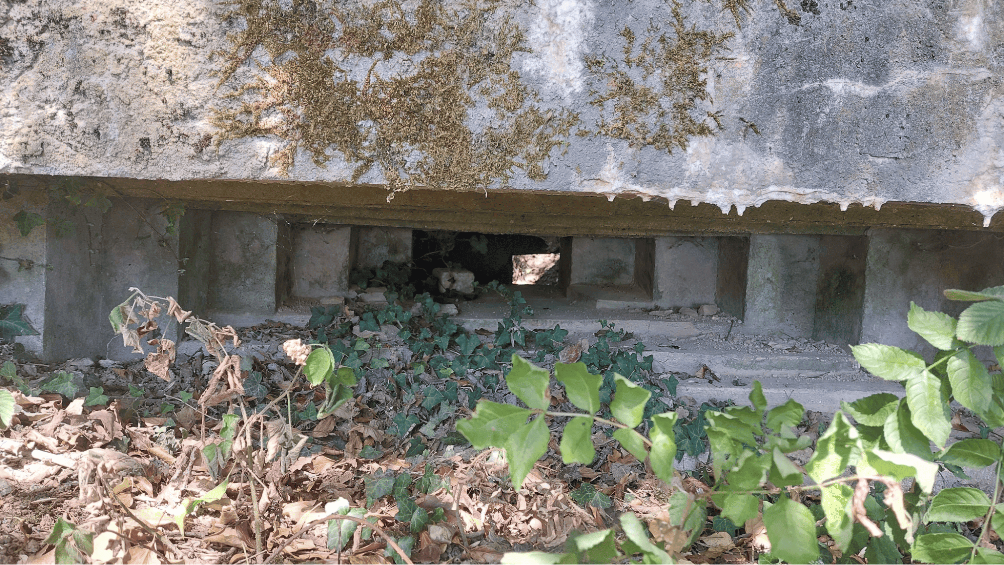 Créneau du blockhaus